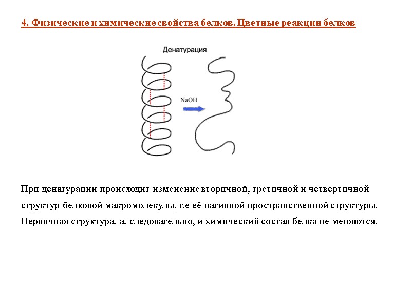 При денатурации происходит изменение вторичной, третичной и четвертичной структур белковой макромолекулы, т.е её нативной